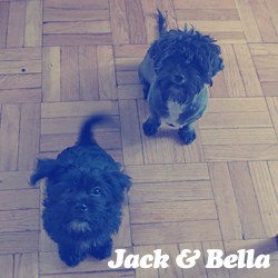 Jack&Bella