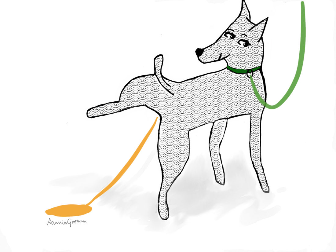 dog house training drawing by annie grossman