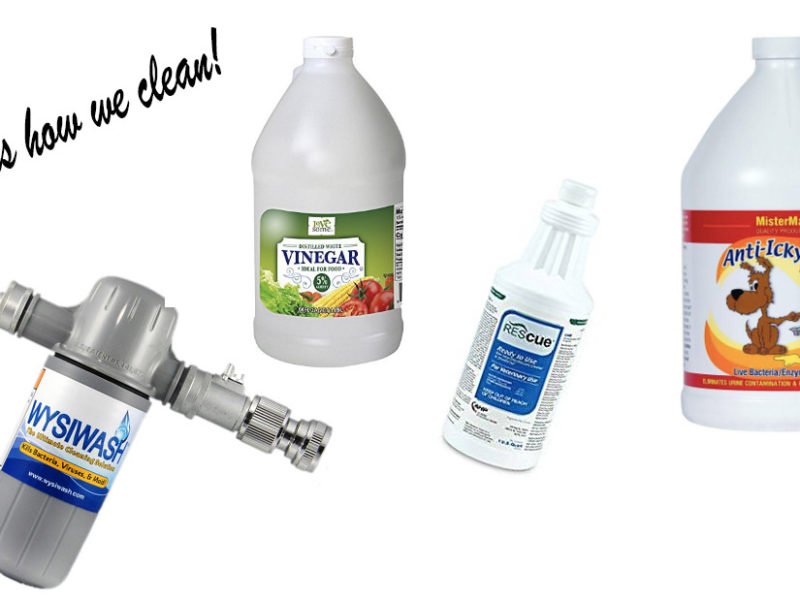 environmentally safe cleaning supplies