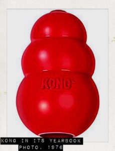 kong toy history
