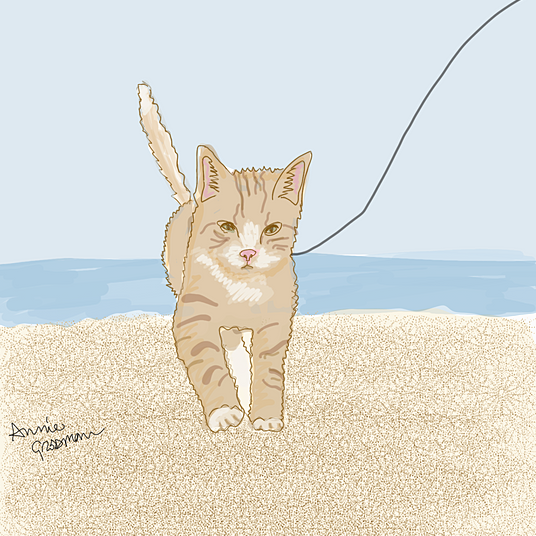 pip the beach cat podcast drawing by annie grossman