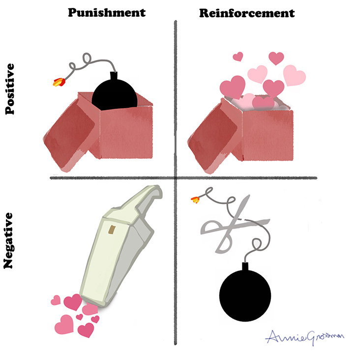 operant conditioning drawing by annie grossman dog trainer
