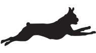 Silhouette of a dog jumping