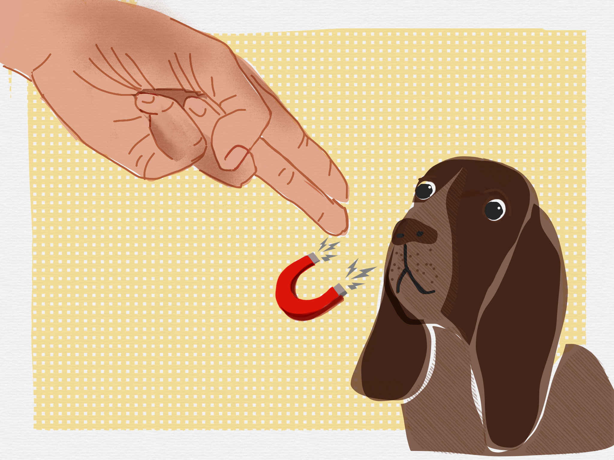 dog training illustration annie grossman