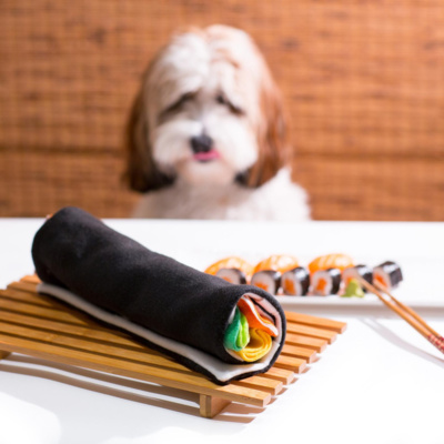 Dog and sushi toy