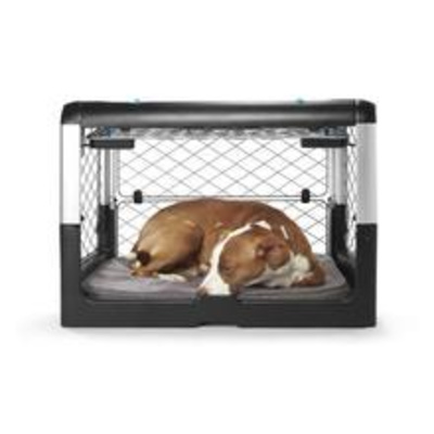 Dog sleeping in crate
